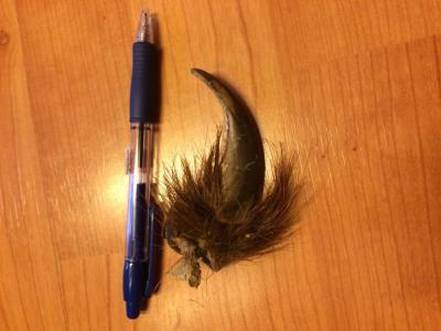 post-18506-0-08845800-1441299481_thumb.j