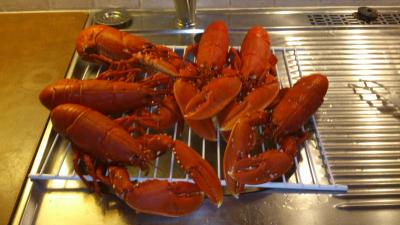 post-4220-0-06378600-1443512536_thumb.jp