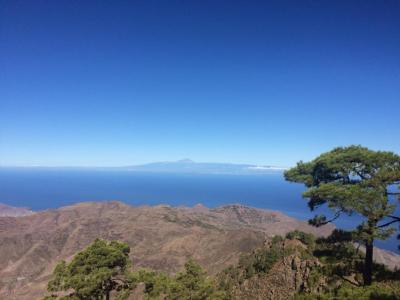 post-4444-0-15893700-1441651208_thumb.jp