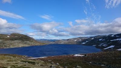 post-5141-0-09733100-1441822947_thumb.jp