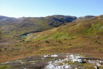 post-5331-0-13796200-1443445865_thumb.jp