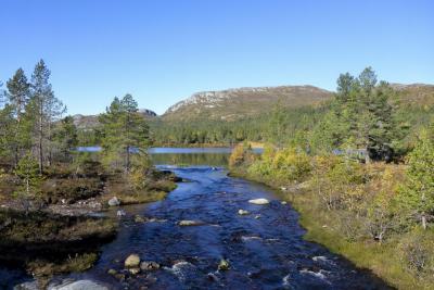 post-5331-0-24241200-1443445779_thumb.jp