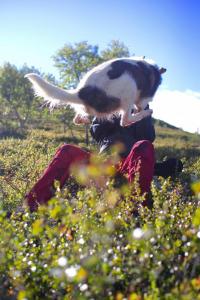 post-8457-0-09462800-1441570183_thumb.jp