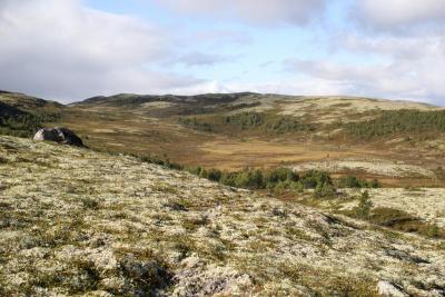 post-8457-0-19279800-1441570520_thumb.jp