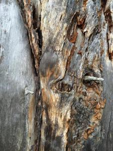 post-8457-0-32574400-1442668796_thumb.jp