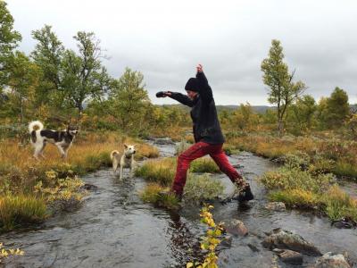 post-8457-0-78577000-1442668791_thumb.jp