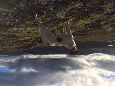 post-8457-0-91352400-1441569783_thumb.jp