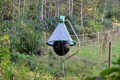 post-8462-0-46658500-1443355524_thumb.jp