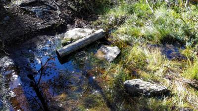 post-9055-0-98905100-1442673832_thumb.jp