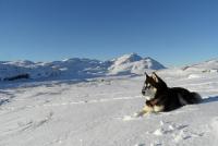 post-10307-0-79554100-1351451567_thumb.j