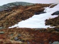 post-1073-0-17902000-1350892160_thumb.jp