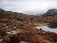 post-1073-0-62467900-1350892182_thumb.jp