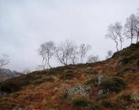 post-1073-0-84318200-1350892133_thumb.jp