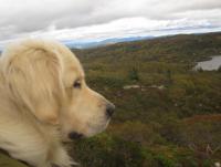 post-11141-0-20760400-1350496962_thumb.j