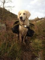 post-11141-0-21392500-1350495846_thumb.j