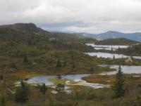 post-11141-0-24525100-1350495477_thumb.j