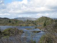 post-11141-0-37920600-1350495509_thumb.j