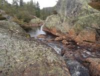 post-11141-0-46170300-1350495631_thumb.j