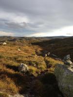 post-11141-0-54730600-1350495380_thumb.j