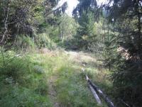 post-11141-0-77559500-1350497028_thumb.j