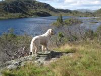 post-11141-0-81498800-1350497068_thumb.j