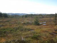 post-11141-0-89331800-1350495601_thumb.j