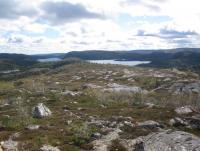 post-11141-0-90932200-1350495553_thumb.j