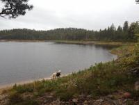 post-11141-0-92040800-1350496981_thumb.j