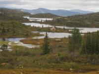 post-11141-0-99856700-1350495453_thumb.j