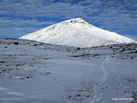 post-4444-0-14944200-1350916583_thumb.jp