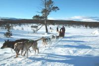 post-8463-0-40296400-1350486959_thumb.jp