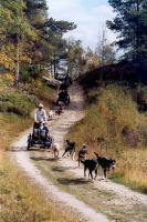 post-8463-0-85883400-1350487001_thumb.jp