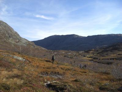 post-10401-0-07575900-1381256731_thumb.j