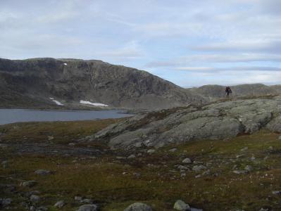 post-10401-0-20975100-1381256871_thumb.j