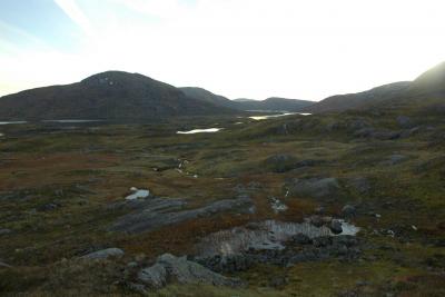 post-10401-0-25658500-1381257379_thumb.j