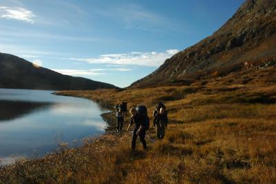 post-10401-0-30930300-1381317961_thumb.j