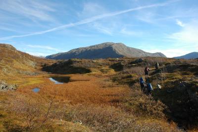 post-10401-0-41525600-1381255830_thumb.j