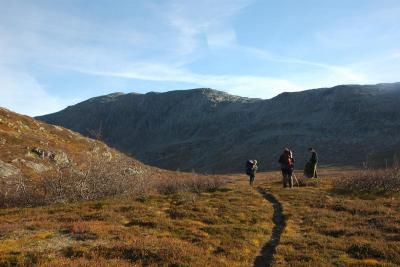 post-10401-0-48989100-1381317892_thumb.j