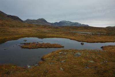 post-10401-0-68437300-1381256979_thumb.j