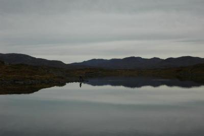 post-10401-0-80797100-1381256947_thumb.j