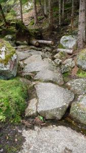 post-11774-0-09544800-1382306368_thumb.j