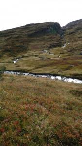 post-11774-0-11358400-1382305140_thumb.j