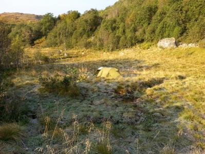 post-11774-0-21318200-1382303313_thumb.j