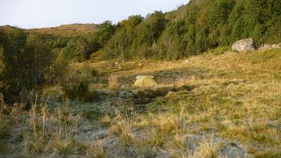 post-11774-0-22677100-1382303390_thumb.j