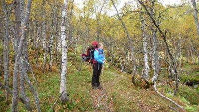 post-11774-0-32504000-1382304247_thumb.j