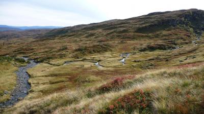 post-11774-0-32902500-1382305360_thumb.j