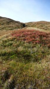 post-11774-0-36834900-1382305217_thumb.j