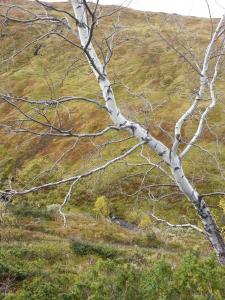 post-11774-0-38910600-1382306008_thumb.j