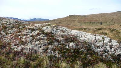 post-11774-0-39477200-1382305439_thumb.j