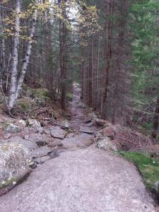 post-11774-0-39808100-1382306137_thumb.j